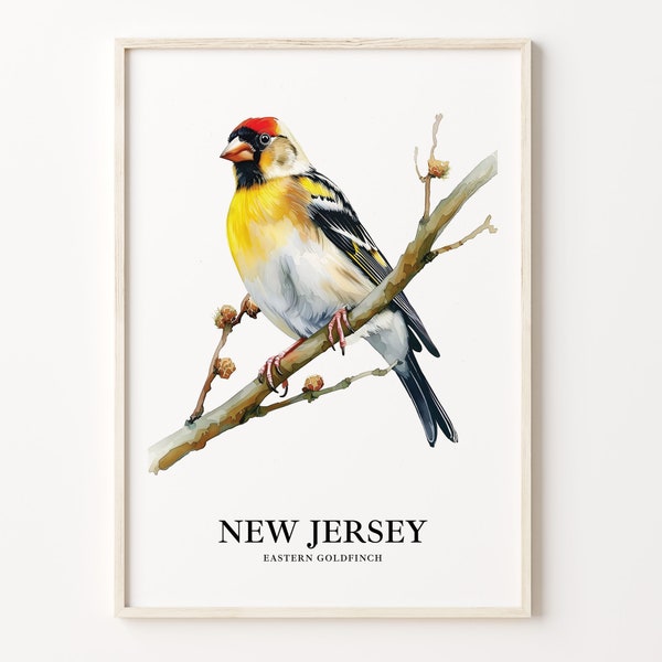 New Jersey State Bird and Flower Art Print, American Goldfinch and Violet, C31-125