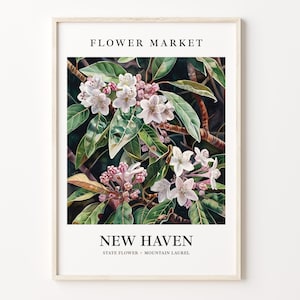 New Haven Flower Market Art Print, Connecticut Botanical Wall Art, Mountain Laurel, Pastel Artwork, Home Decor, C31-263