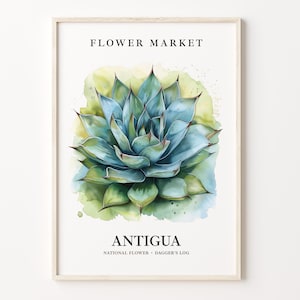 Antigua Flower Market Art Print, Botanical Pastel Artwork, Dagger&#39;s Log Wall Art, Antigua Flower Decor, C31-326