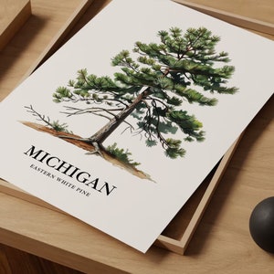 Eastern White Pine Tree Art Print: Michigan State Tree Symbol immagine 7