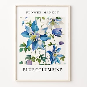 Blue Columbine Flower Market Art Print: Botanical Illustration