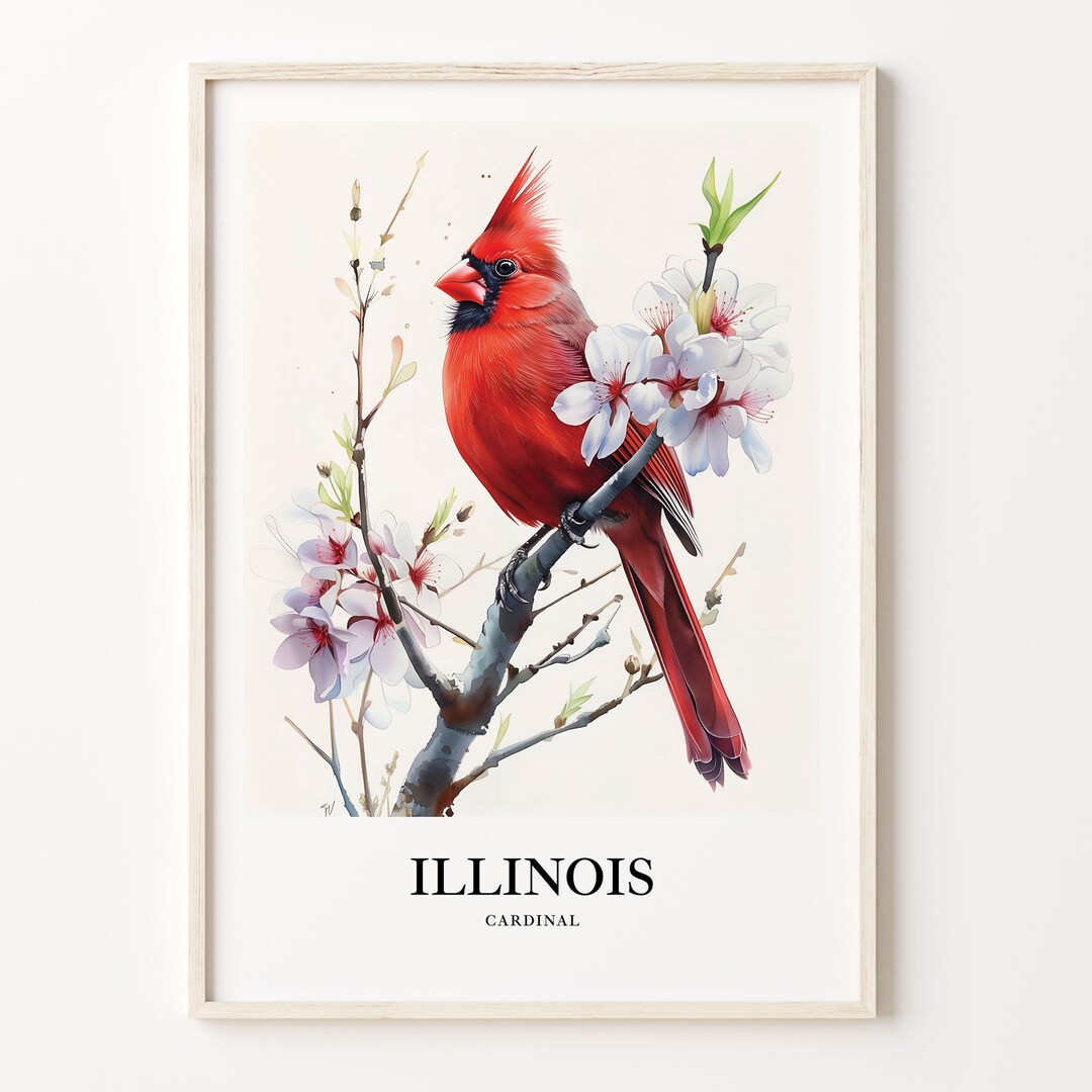 Illinois State Bird Art Print Cardinal & Blue Violet Illustration