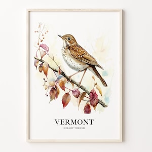 Vermont State Bird Art Print, Vermont State Flower Wall Art, Home Decor, Vermont Wall Decor, Nature Art, C31-131
