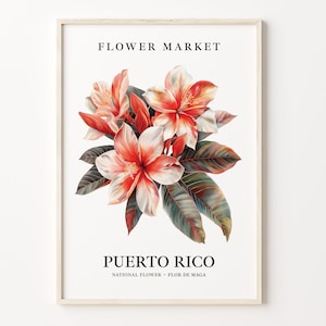 Puerto Rico State Flower Art Print, Flor De Maga 1960's Wall Art, neutrale botanische pastelkunstwerken, Puerto Rico bloemenmarkt decor, C31-306
