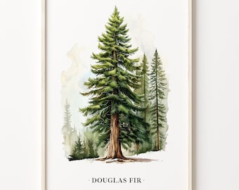Douglas Fir Tree Art Print: Botanical Forest Illustration