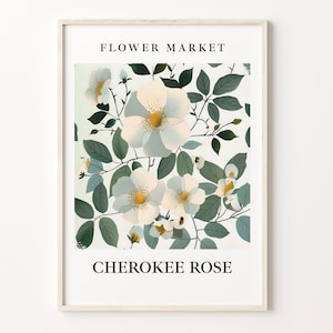 Impresión artística del mercado de flores Cherokee Rose, obra de arte botánica en colores pastel, arte mural Cherokee Rose, decoración floral para el hogar, C31-336