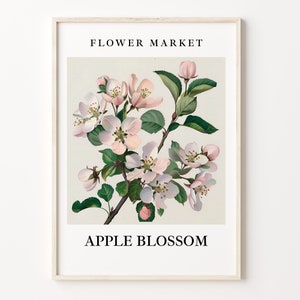 Apple Blossom Flower Market Art Print, Botanical Pastel Wall Art, Apple Blossom Artwork, Home Decor, C31-348