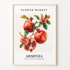 Armenia National State Flower Art Print, 1960s Pomegranate Wall Art, Neutral Botanical Pastel Artwork, Flower Market Decor, C31-408