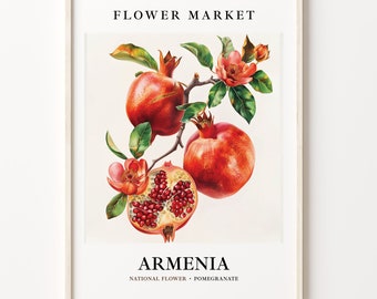 Armenia National State Flower Art Print, 1960s Pomegranate Wall Art, Neutral Botanical Pastel Artwork, Flower Market Decor, C31-408