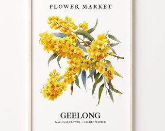Geelong Flower Market Art Print: Golden Wattle Botanical Wall Decor