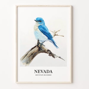 Impression d'art oiseaux et fleurs de l'État du Nevada, art mural Nevada, décoration d'intérieur, oeuvre d'art oiseau de l'État, impression déco botanique, C31-115