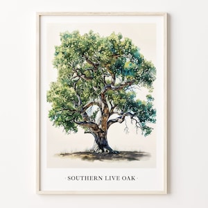 Southern Live Oak Tree Art Print, Wall Art Poster, Southern Oak Home Decor, Nature Photography, Botanical Art, C31-428