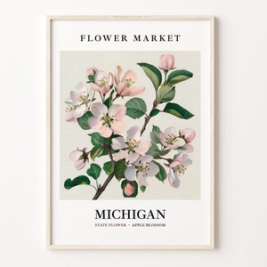 Lámina artística de flores del estado de Michigan, arte mural de flor de manzano de la década de 1960, obra botánica en tonos pastel neutros, decoración del mercado de flores de Michigan, C31-61