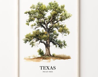 Puede incluir: Una pintura de acuarela de un árbol de pacana, el árbol del estado de Texas. El árbol está representado en una paleta de colores verde y marrón, con un tronco marrón y hojas verdes. La pintura está sobre un fondo blanco con el texto "TEXAS PECAN TREE" en la parte inferior.