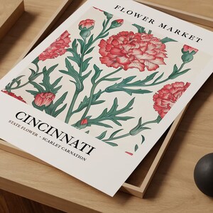 Cincinnati Flower Market Print: Scarlet Carnation Art, Ohio Home Decor 画像 7