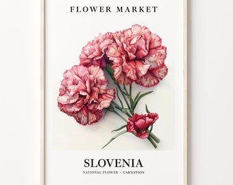 Slovenia Flower Market Print: Carnation Botanical Art