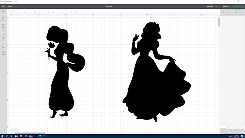 Op de afbeelding: Silhouetten van twee prinsessen, een met lang, golvend haar dat een bloem vasthoudt en de andere met een zwierige jurk.