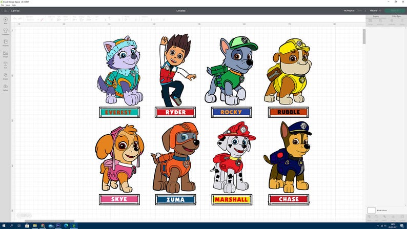 May include: A collection of cartoon character images from the Paw Patrol series. The characters include Everest, Ryder, Rocky, Rubble, Skye, Zuma, Marshall, and Chase. Each character is depicted in full color with their names displayed below.