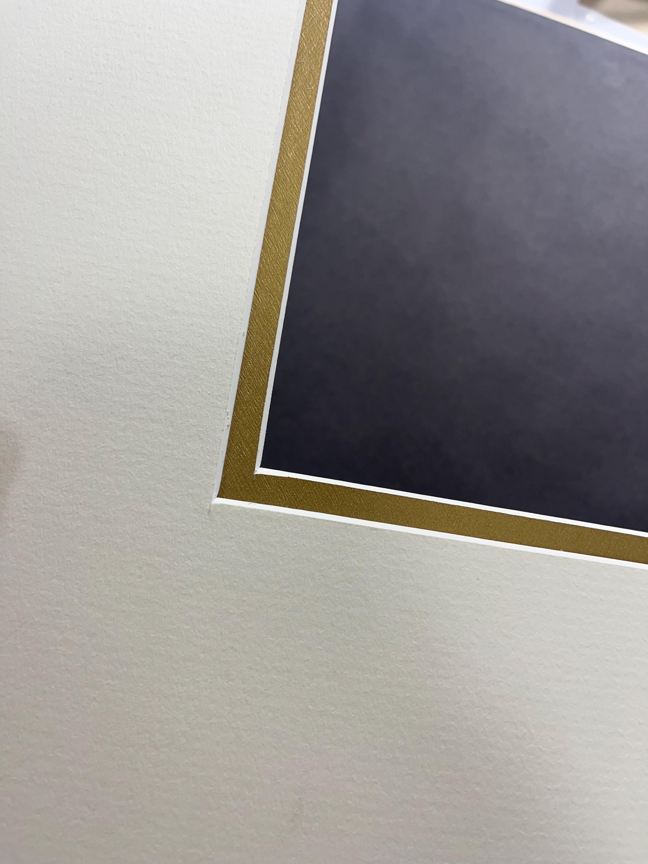 Graduation Frame Golden Medium DIPLOMA Frame - Gold Frame- You Choose Mat - Graduation - Etsy