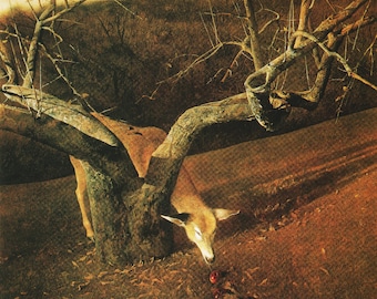 Andrew Wyethの直筆サイン入りリトグラフ「Jacklight」 il_340x270.5894818009_ktgo.jpg