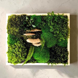 Tableau végétal ambiance sous-bois 26,5 x 21,5 cm - Cadre végétal  naturel sans entretien - Champignons naturels - Décoration intérieure