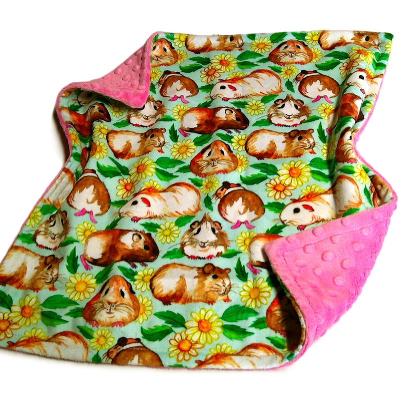 Illustration of Guinea Pig Bedding With Moisture-Wicking Fabric