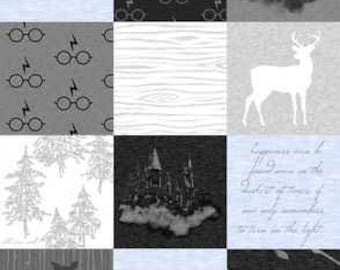 Always Wizard Minky Fabric Panel 24"x36" Quilting Baby Blue Gray Cheater Quilt Fabric