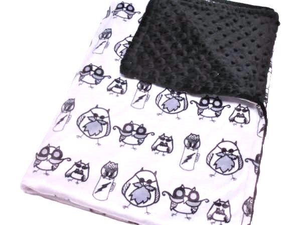 Owl Baby Blanket, Mustache Gift, Ready to Ship