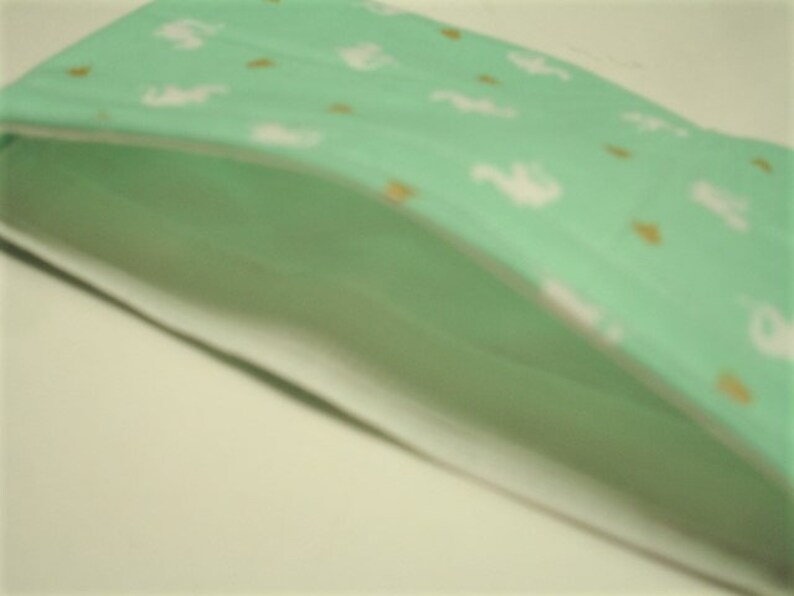 Baby Dragons Pouch READY TO SHIP