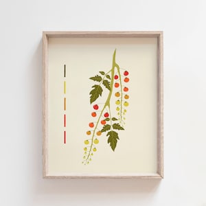 Kitchen Wall Decor Tomato Art Print Kitchen Wall Art Cherry Tomato Fruit Wall Art Minimalistic Kitchen Decor Mid Century Modern Farmhouse