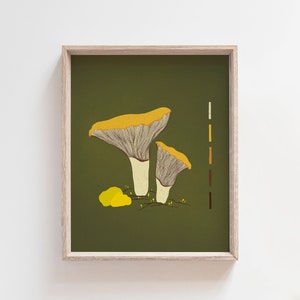 Chanterelle Mushroom Art Print Mid Century Modern Inspired Cottage Decor Nature Art Print Vintage Inspired Art