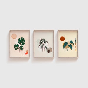 Mid Century Monstera Plant Print Set of 3 4x6 Art Philodendron Begonia Swiss Cheese Plant Mini Prints Retro Modern Gift For Plant Parent