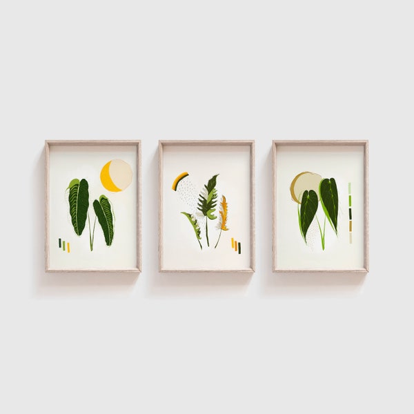 Mid Century King Veitchii Plant Print Set of 3 4x6 Art Queen Anthurium Warocqueanum Ring of Fire Philodendron Prints Retro Modern