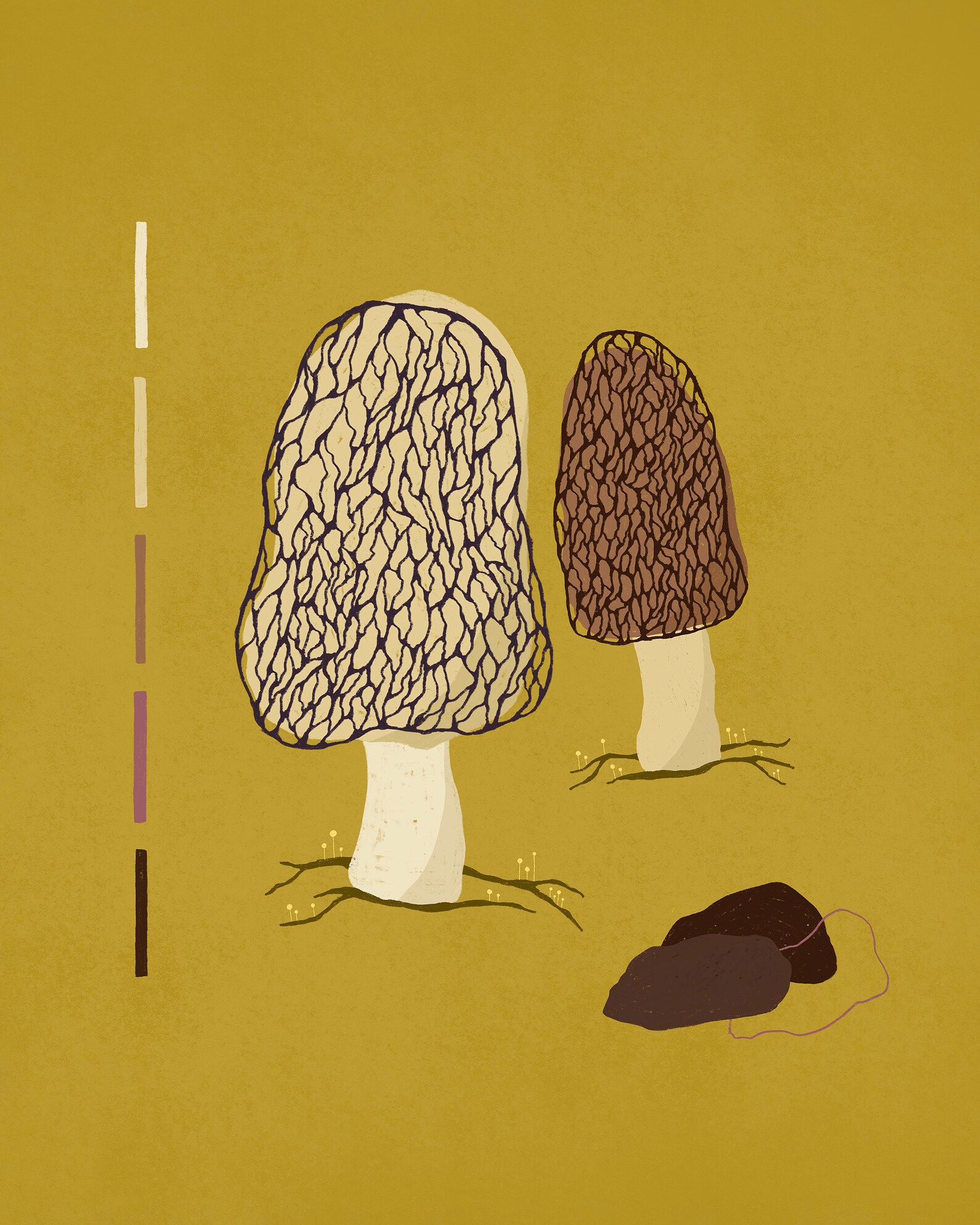 Morel Mushroom Art Print Original Illustration Mushroom Art Etsy