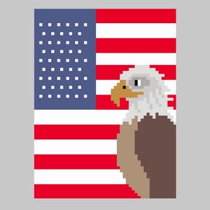 May include: Pixelated illustration of the American flag with a bald eagle. The flag features red and white stripes and a blue field with white stars. The eagle has white feathers, a brown body, and a yellow beak.
