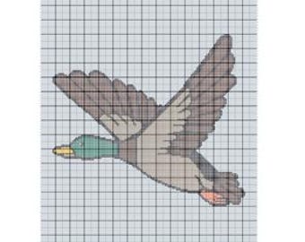 May include: A brown and gray duck in flight with green head and orange feet. The duck is flying with its wings spread out.