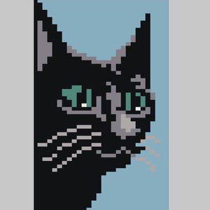 May include: Pixelated illustration of a black cat's face in profile against a light blue background. The cat has green eyes, gray accents, and white whiskers. The artwork is a digital design with a retro aesthetic.