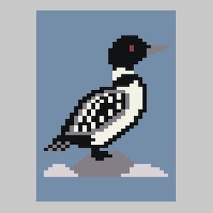 May include: Pixelated illustration of a Common Loon. The bird is depicted in black, white, and gray, with a red eye and a gray beak. It stands on a gray rock against a light blue background.