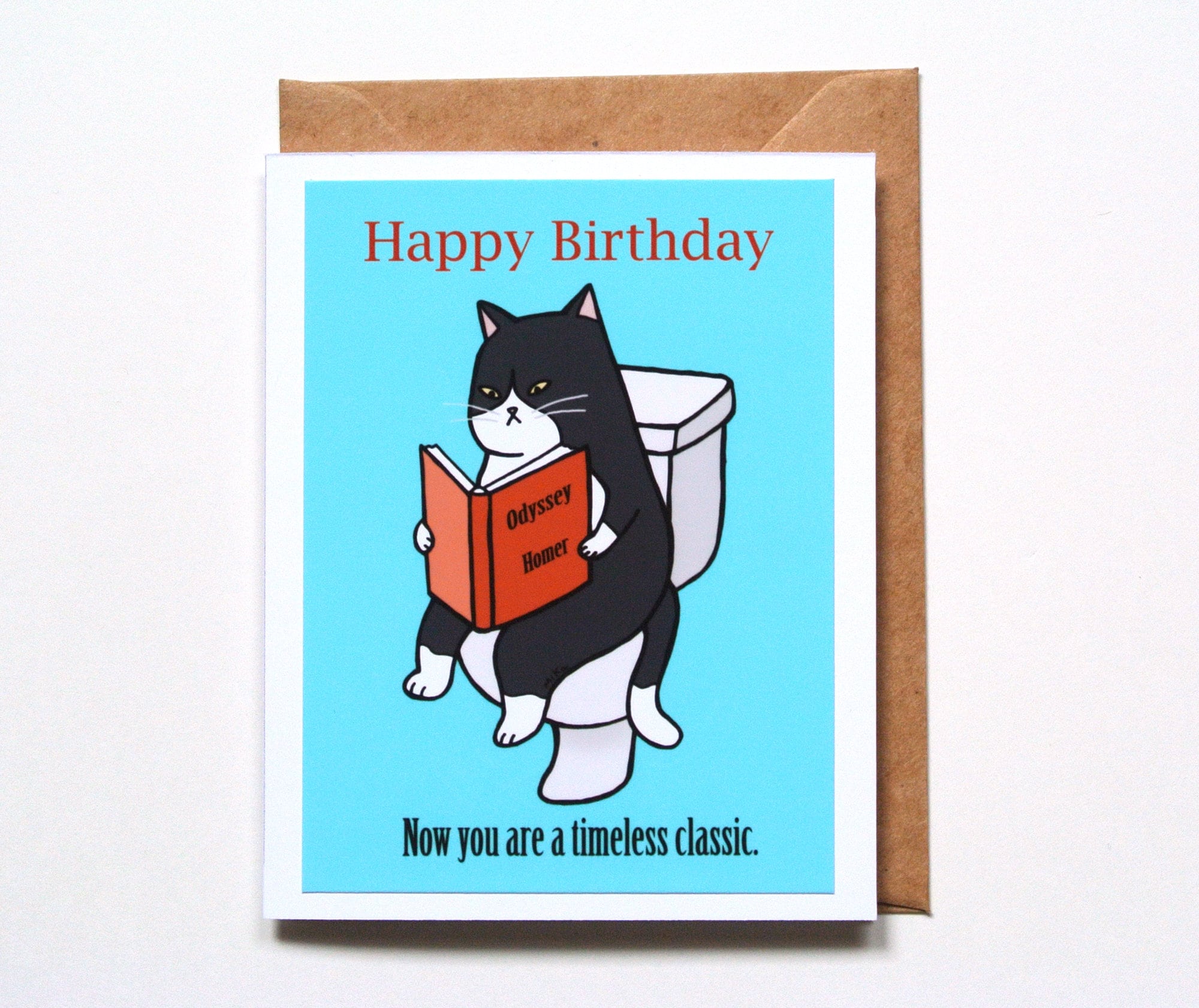 happy birthday cat funny