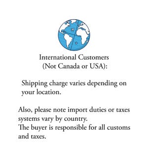 Op de afbeelding: Een grafische illustratie van een blauwe wereldbol met een klein vliegtuigicoontje, vergezeld van de tekst: International Customers (Not Canada or USA): Shipping charge varies depending on your location. Also, please note import duties or taxes systems vary by country. The buyer is responsible for all customs and taxes.