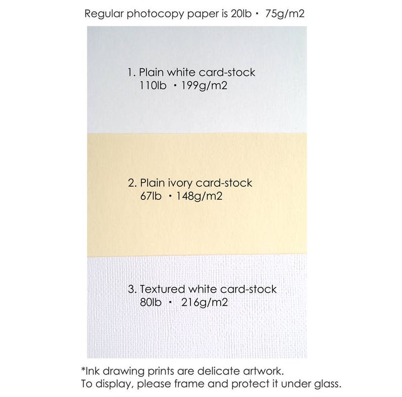 Może przedstawiać: Por&oacute;wnanie trzech rodzaj&oacute;w papieru kartonowego: gładkiego białego, gładkiego kremowego i białego fakturowanego. Gładki biały papier kartonowy ma 110 funt&oacute;w (199 g/m2), gładki kremowy 67 funt&oacute;w (148 g/m2), a fakturowany biały 80 funt&oacute;w (216 g/m2). Tekst zaleca oprawę.