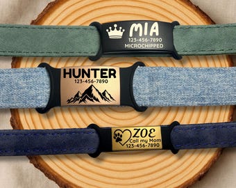 Personalized Pet ID Tag, Custom Engraved Stainless Steel, Silicone Holder