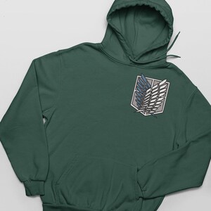 May include: A dark green hooded sweatshirt with a front pocket and a drawstring hood. The sweatshirt features a patch on the chest with a white, blue, and gray emblem. The garment is made of a soft material.