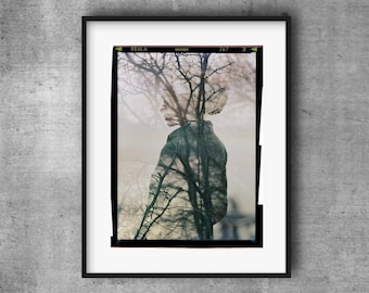 Fine Art Giclee Print, Photography, Poetic, Woman, Trees, Large Art, Wall Art, Autumn, Home, Portrait, Hospitality Decor, Poster, Abstract