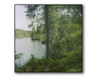 Norwegian Woods, Landscape, Autumn, Birch Grove, Photography Art, Lake, Norwegian Nature, Sognsvann, Dark Scandinavian, Nordmarka, In Oslo