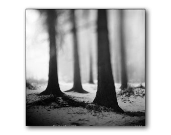 Winter Misty Forest, Photography, Nature, Print, Analog, Curious, Landscape, Large, Mist, Trees, Foggy, Trees in the mist, Whimsical Decor