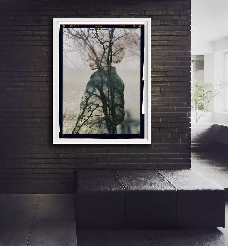 Fine Art Giclee Print, Photography, Poetic, Woman, Trees, Large Art, Wall Art, Autumn, Home, Portrait, Hospitality Decor, Poster, Abstract image 6