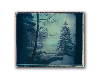 Norway, Old Polaroids, Mamiya, Polaroid Photography, Winter, Eerie, Misty, Woods, lake, Viking Landscape, Steinbruvannet, Trees, Norwegian