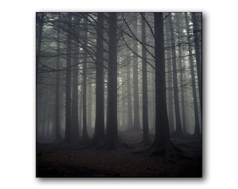 Dark Norwegian Forest, Misty Forest, Photography Art Print, Limited Edition, Analog, Landscape, Large Art, Trees, Foggy, Scandinavia, Nature