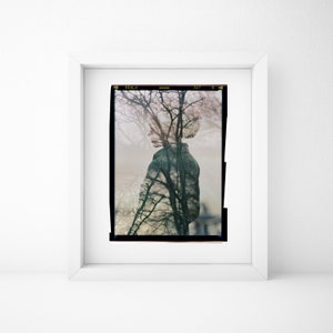 Fine Art Giclee Print, Photography, Poetic, Woman, Trees, Large Art, Wall Art, Autumn, Home, Portrait, Hospitality Decor, Poster, Abstract image 8